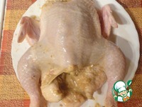 ������, ���������� � ������ � ���������� �����������