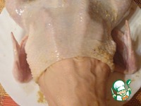 ������, ���������� � ������ � ���������� �����������