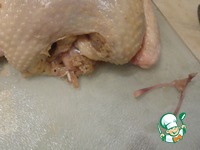 ������, ���������� � ������ � ���������� �����������