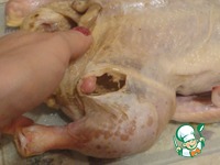 ������, ���������� � ������ � ���������� �����������