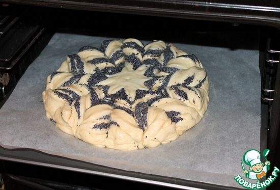 ����� ��������� ������