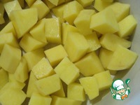 ������, ���������� � ������ � ���������� �����������