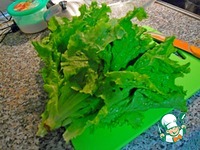 ������ ����� � ������ �����������