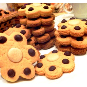 ������� ���������� � ���������