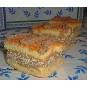 ���������-������ ��������