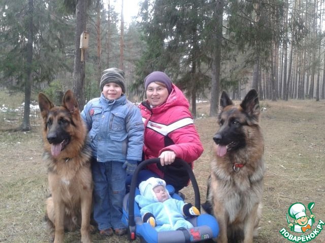 � � ���������  � ��������� ��������� �� ��������