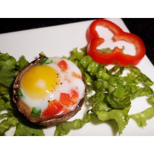 ������������� ������ �����������