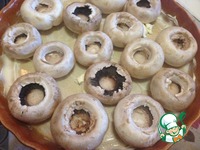 ������ ����������� ������������� �����������