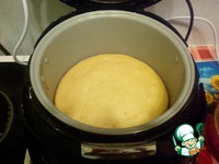 ������ � ����������� �����������