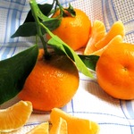 ���������� ���� ������� ���