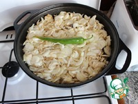 �������� � ����� �����������