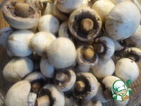 ������������ ���������� ������������ �����������