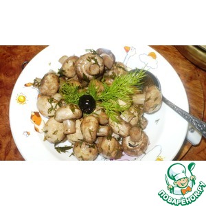 ������� ������������ ����������