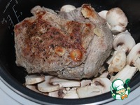 ������ �����, �������� � ��������-������� ����� �����������