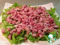 ����� "��������" �����������