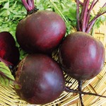 ����������� ���������