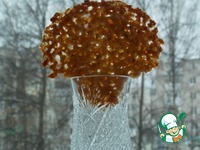 ���������� �����������