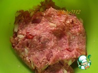 ������ ���� � �������� �����������