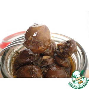 ������������ ���������� ������������