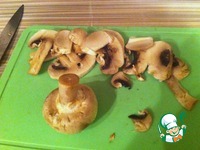 ����-��� � ������������ �����������