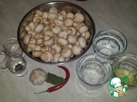 ������� ������������ �������� �����������