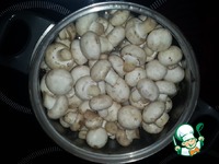 ������� ������������ �������� �����������