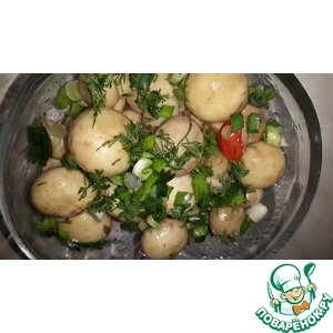 ������� ������������ ��������