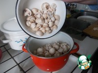 ������������ ����� �����������