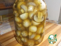 ������������ ����� �����������