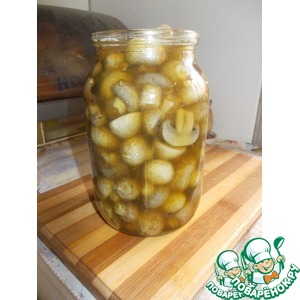 ������������ �����