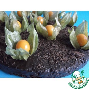 ����� "���������-����������"