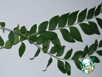 ������ ���� �����������