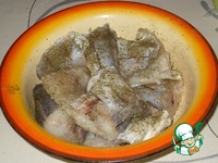 ������ ���� � ����� �� ��������� ������� �����������