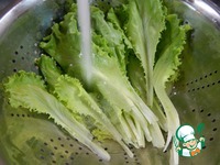 ����� �� ��������� � �������-��������� ������ �����������