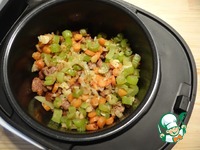 �������������� ���� �����������