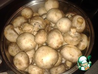 ������ �� ����������� "�������� ��������" �����������