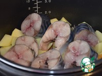 ��� �� ��������� �����������