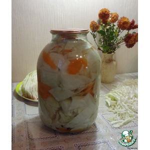 ������� ������������ "���������"