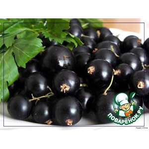 �������-���� �� ������ ���������