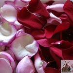 ��� �������� ����������� ����