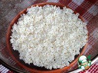 �������� ����-������� �����������