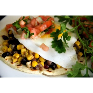 ������������ ��������