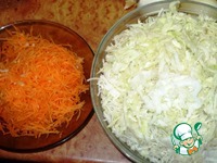 �-�� "�����" � ����� � ������ �����������