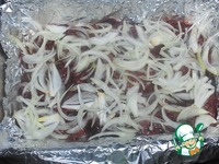 ������ �������, ���������� � �������� �����������