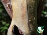 ��������� ���� � ���������� �������� � ������ �������� �����������