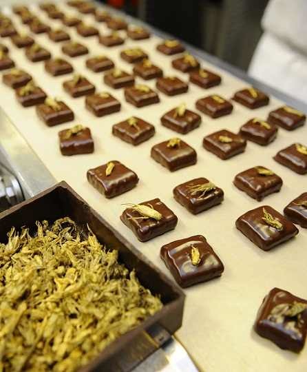 ���� ����� � ����: �������� ��� ���������