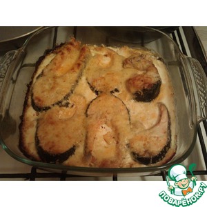 ������ ���� ��� ������ ��������