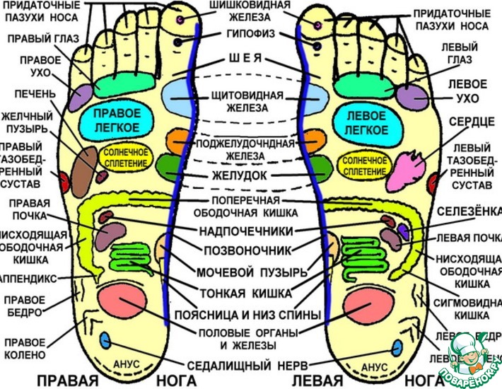 ������ ����? ��� ������