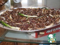 �������� �����������