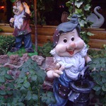 ������ ������ ��� �����